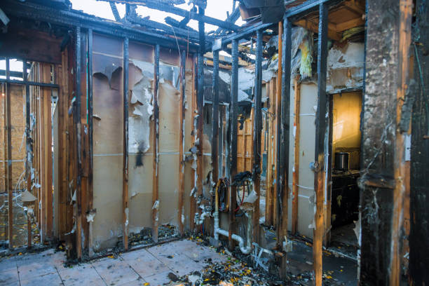 Professional Odor Removal technician working in Aberdeen, IN